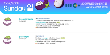 2025년 12월 7일 일요일 Today's Pick