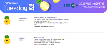 2025년 12월 16일 화요일 Today's Pick